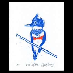 Belted Kingfisher Block Print by Grant Thomas