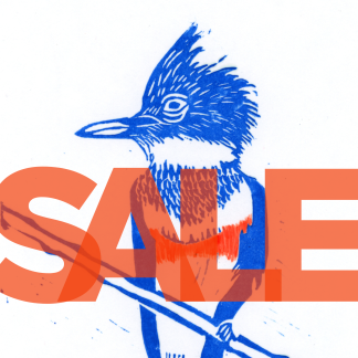 Belted Kingfisher Varied Edition Block Print