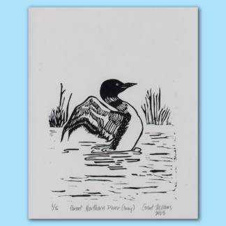 Great Northern Diver (Gray) Block Print by Grant Thomas