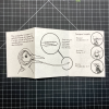 Wondrous Woodpeckers Accordion Fold Zine - Image 2