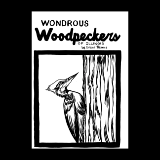 Wondrous Woodpeckers Accordion Fold Zine by Grant Thomas